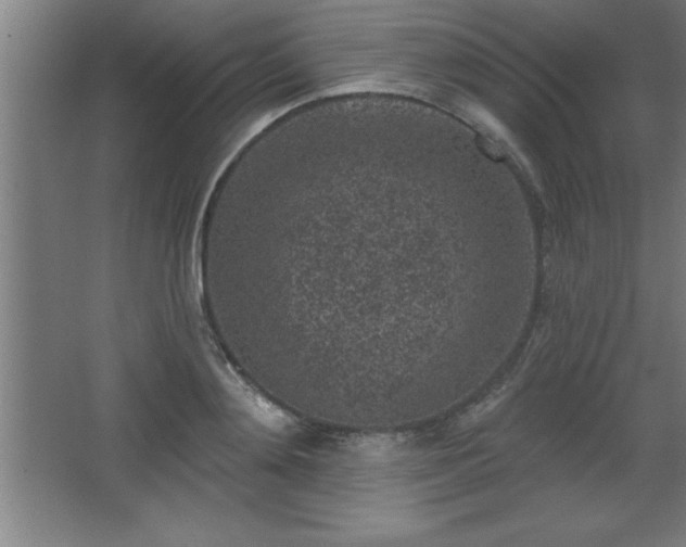 X0000068720892200605010930