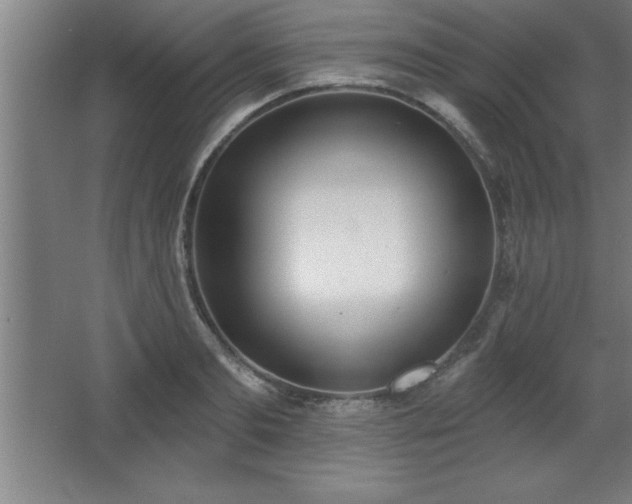 X0000068720893200605010930