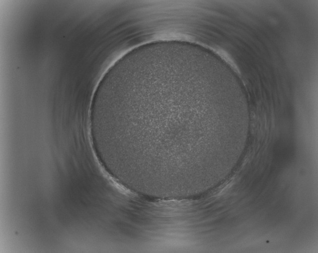 X0000068720895200605010930