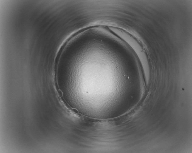 X0000068720896200605010930