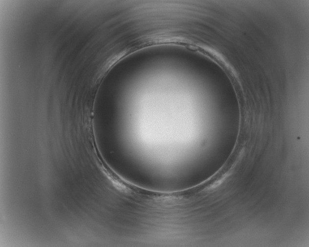 X0000068720897200605010930