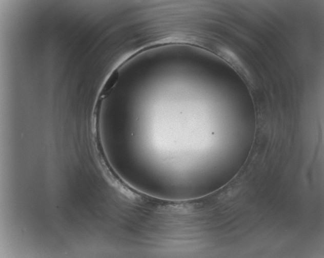 X0000068720900200605010930