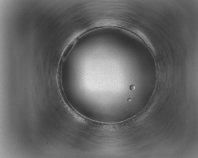 X0000068720901200605010930