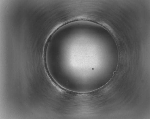 X0000068720902200605010930