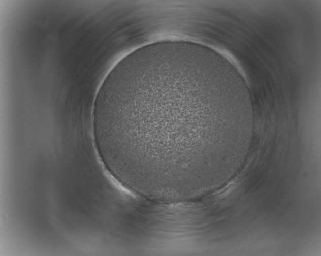 X0000068720903200605010930