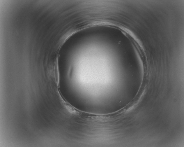 X0000068720905200605010930