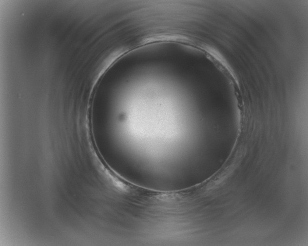 X0000068720906200605010930