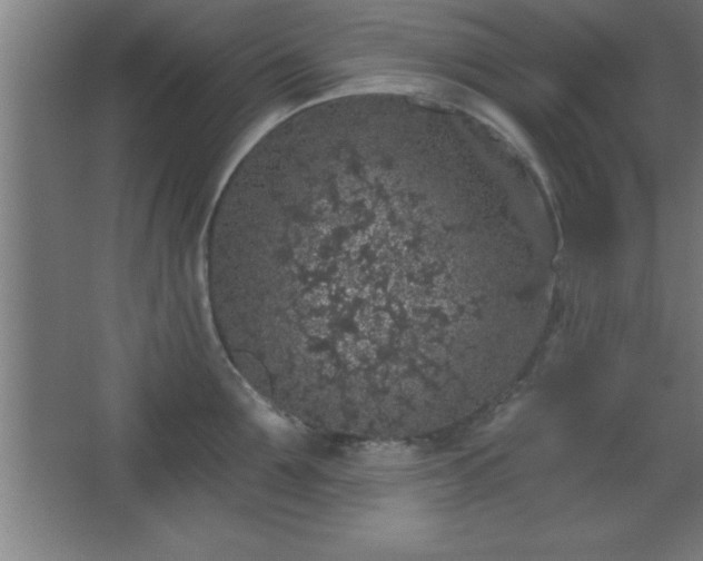 X0000068720907200605010930