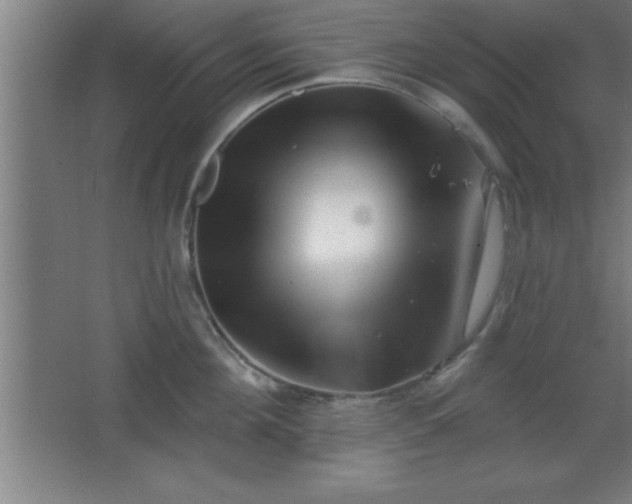 X0000068720908200605010930