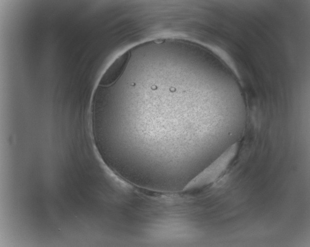 X0000068720911200605010930