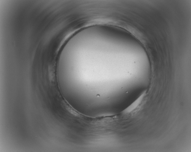 X0000068720912200605010930