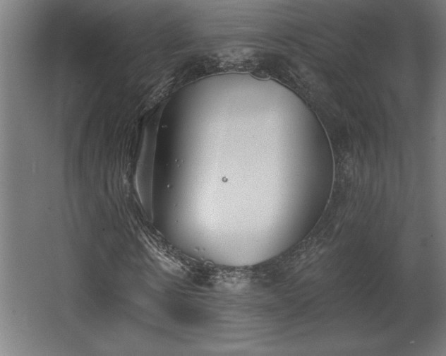 X0000068720914200605010929