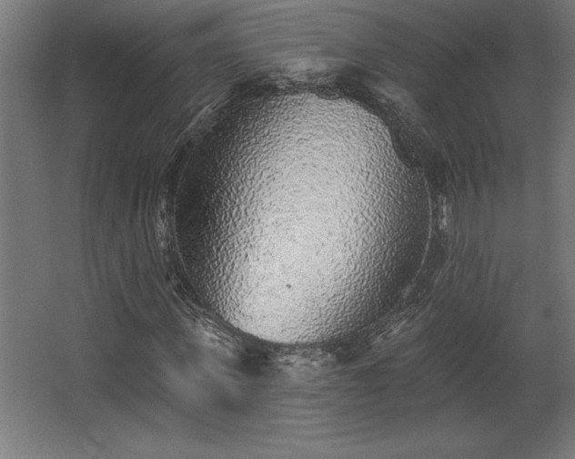 X0000068720915200605010929