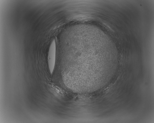 X0000068720917200605010929