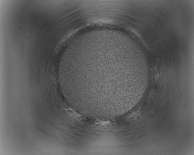 X0000068720919200605010929