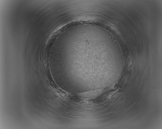 X0000068720920200605010929