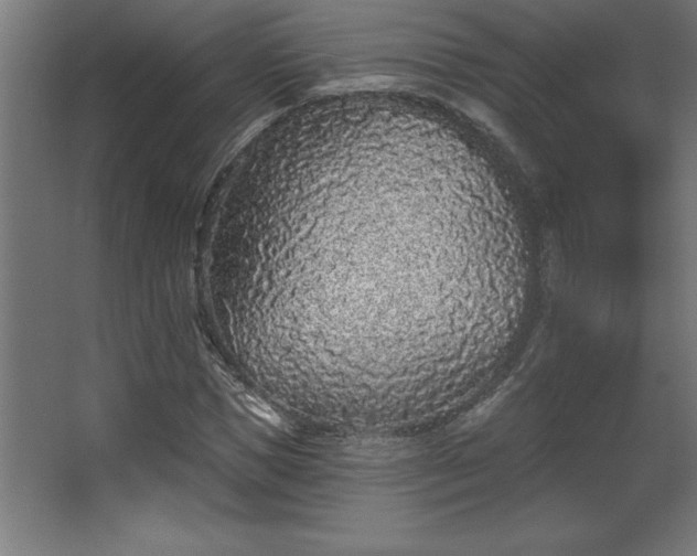 X0000068720921200605010929