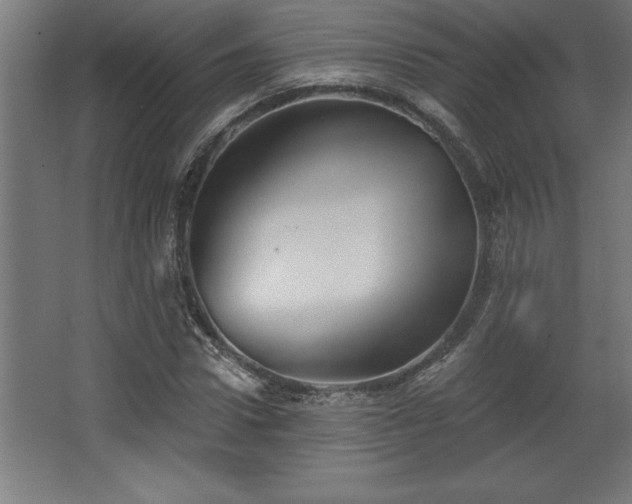 X0000068720922200605010929