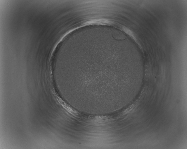 X0000068720923200605010929