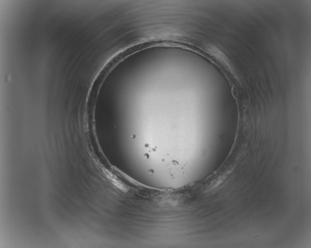 X0000068720924200605010929