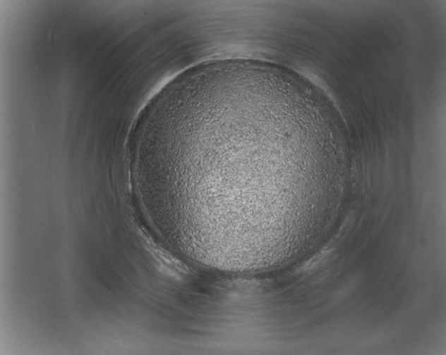 X0000068720925200605010929