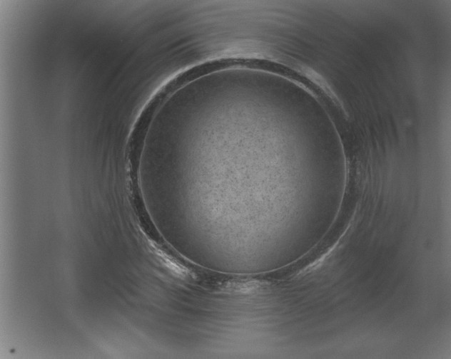 X0000068720926200605010929