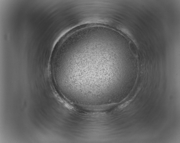 X0000068720928200605010929