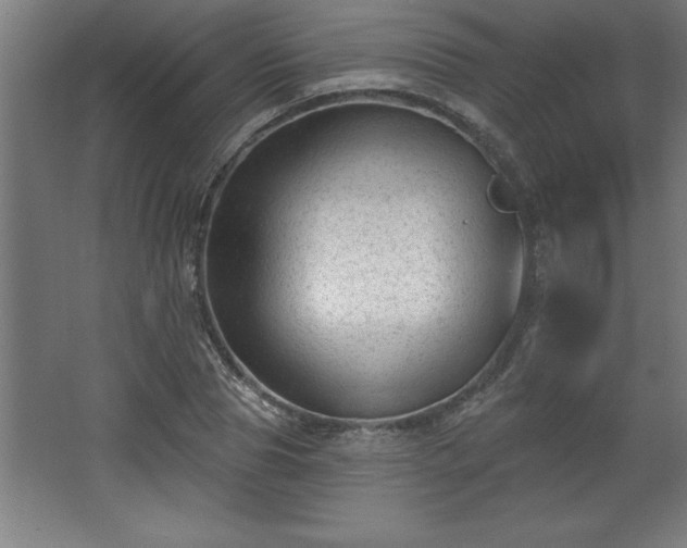 X0000068720929200605010929