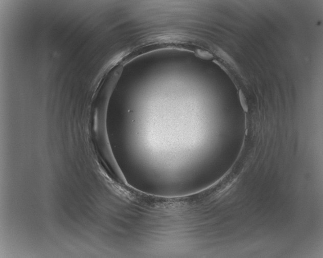 X0000068720930200605010929