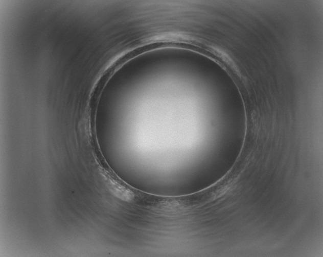 X0000068720931200605010930