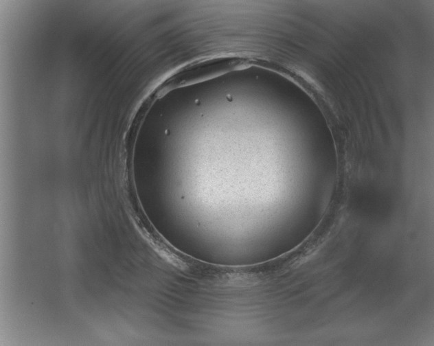 X0000068720933200605010930