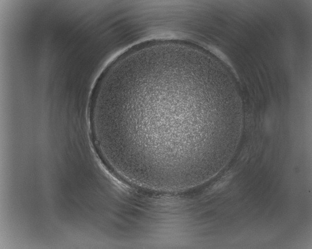 X0000068720935200605010930