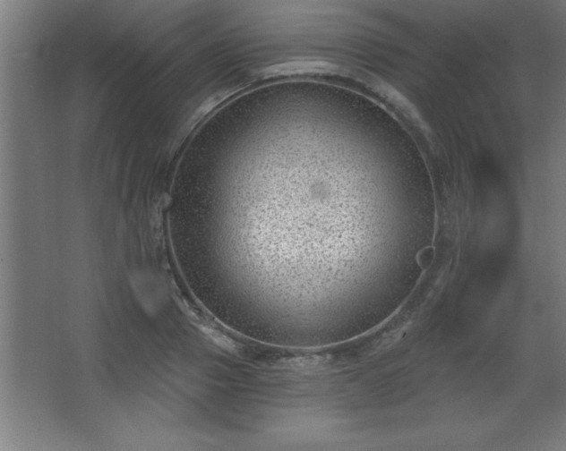 X0000068720937200605010930