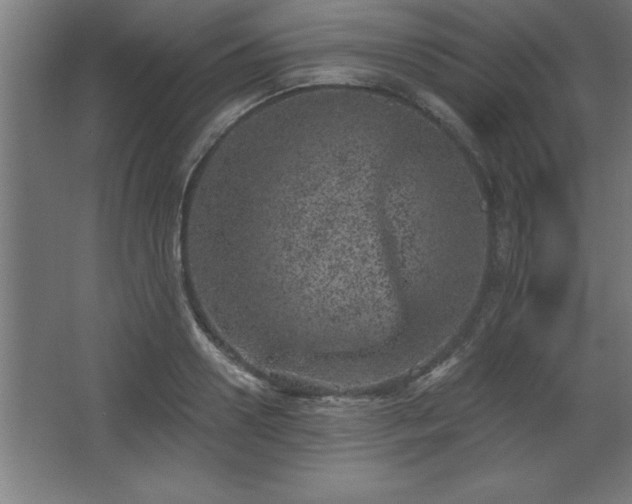 X0000068720938200605010930