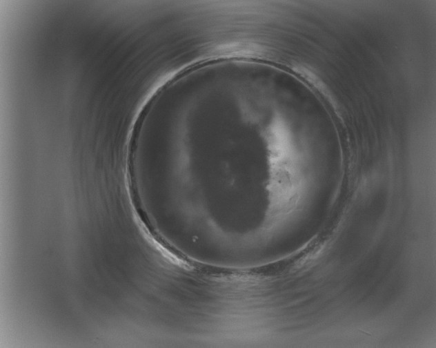 X0000068720941200605010930