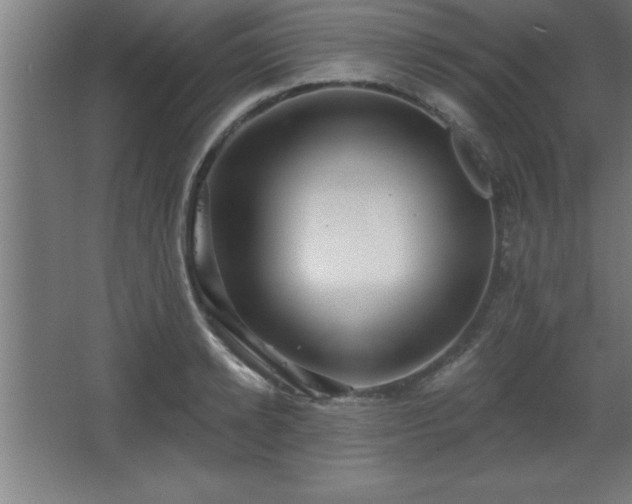 X0000068720942200605010930