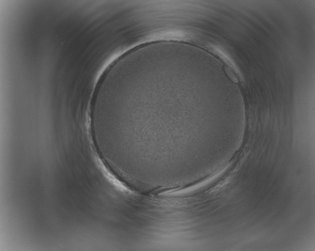 X0000068720944200605010930