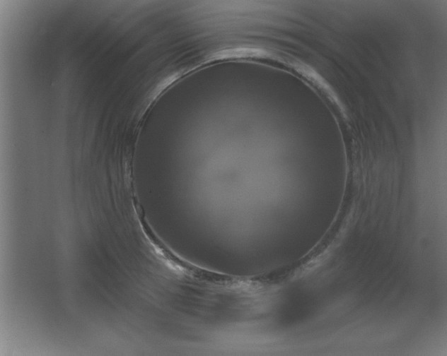 X0000068720945200605010930