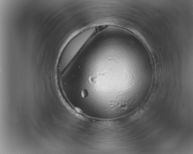 X0000068720949200605010930