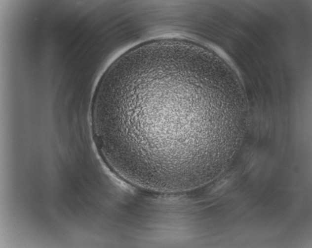 X0000068720951200605010930