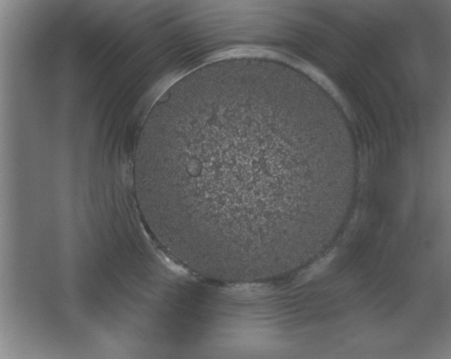 X0000068720953200605010930