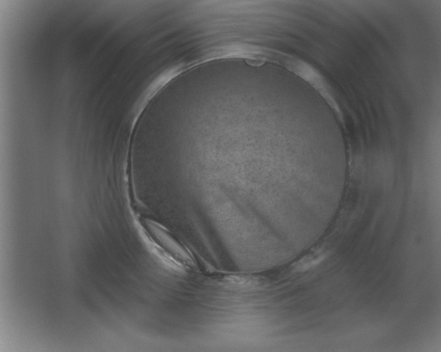 X0000068720954200605010930