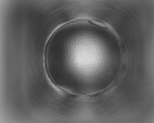 X0000068720955200605010930