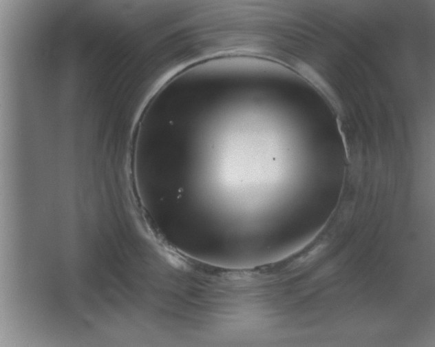 X0000068720956200605010930