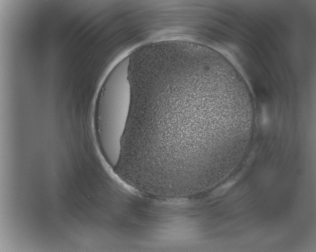 X0000068720957200605010930