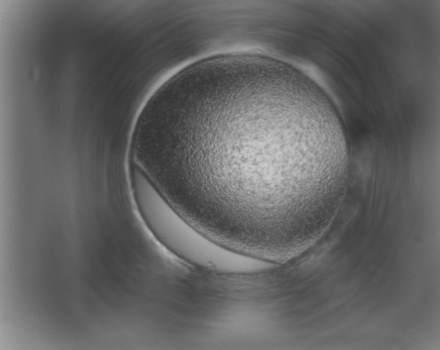 X0000068720959200605010930