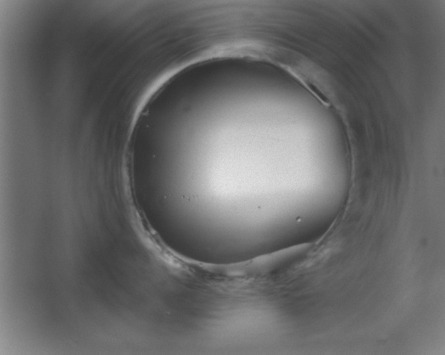 X0000068720960200605010930