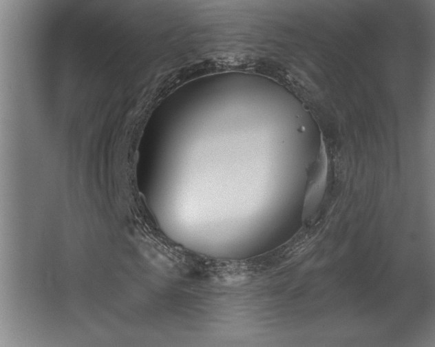 X0000068720961200605010929