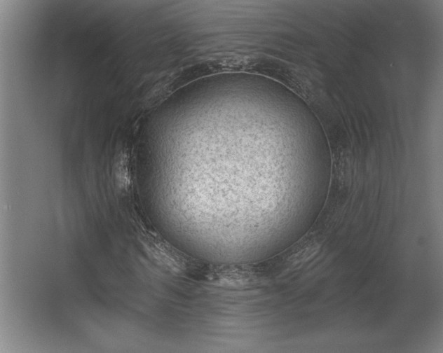 X0000068720962200605010929