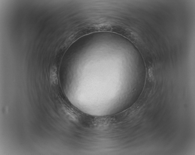 X0000068720963200605010929